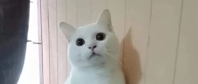 该怎么跟奶奶解释呢？