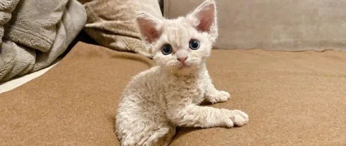 清理键盘好像在美缝