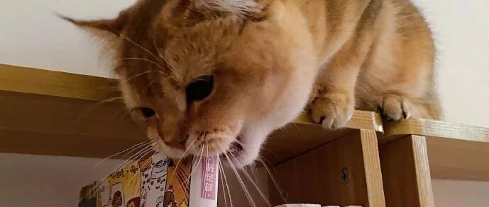 原来羽绒服也有鄙视链