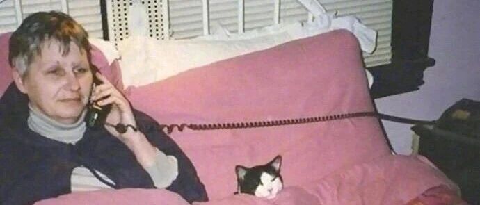 众所周知我们的周末是没有上午的