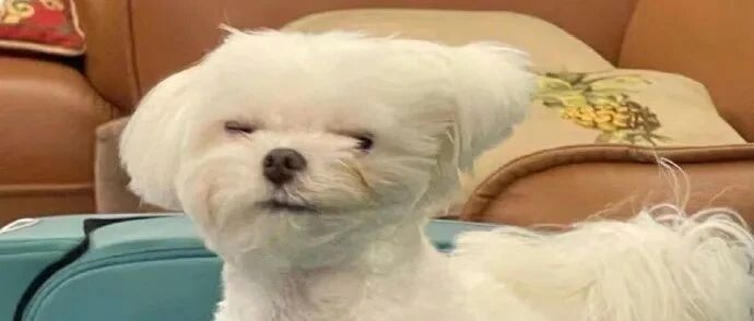 别在宿管阿姨面前发表情包，小心被安排