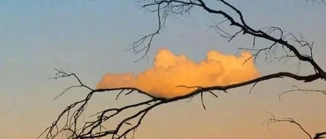 你看他在偷笑！！