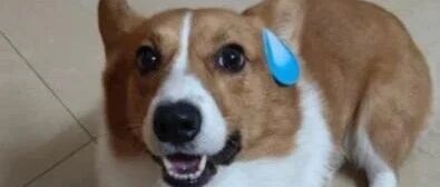 上课拍课件记得关闪光灯