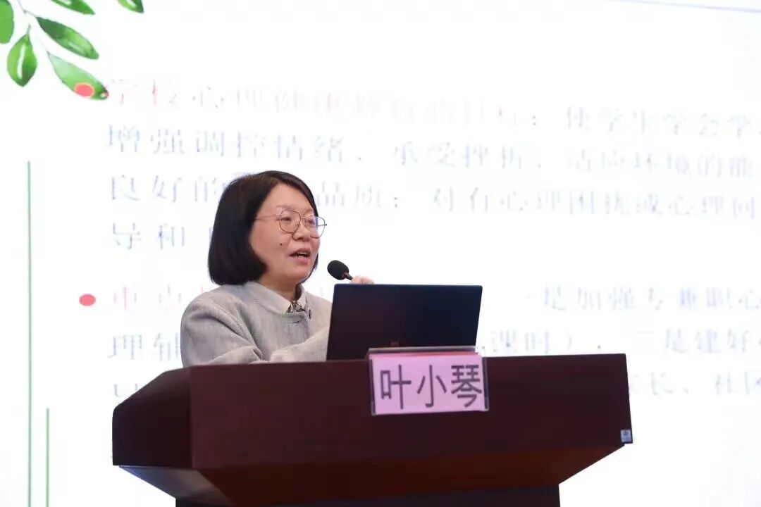 叶小琴老师讲座梅川剑强调各校思想再重视，举措再给力，工作再落实，认