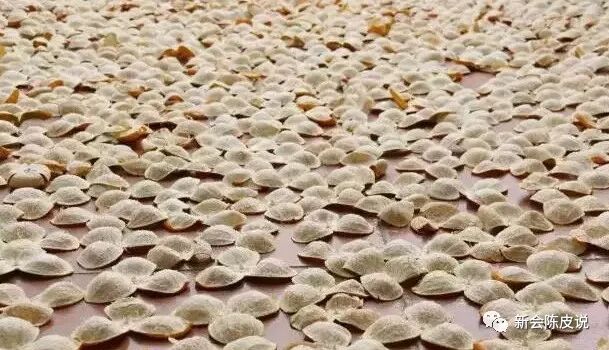 为清楚辨别真假新会陈皮，在六七家买了不同的陈皮，发现水太深！