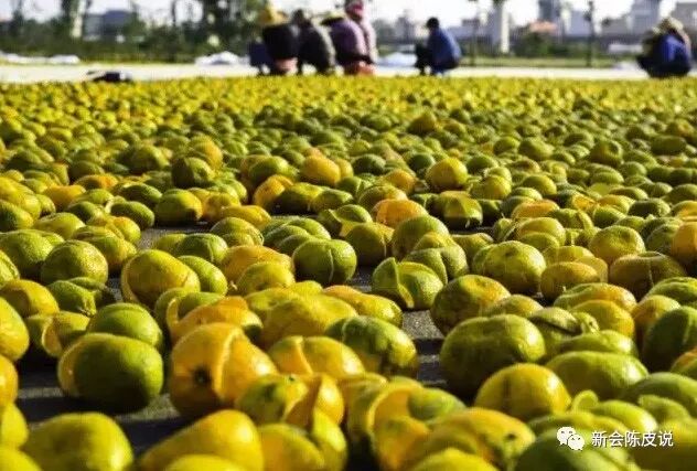 为清楚辨别真假新会陈皮，在六七家买了不同的陈皮，发现水太深！