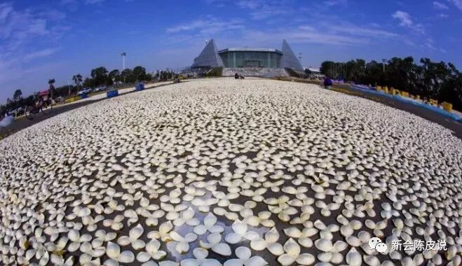 为清楚辨别真假新会陈皮，在六七家买了不同的陈皮，发现水太深！