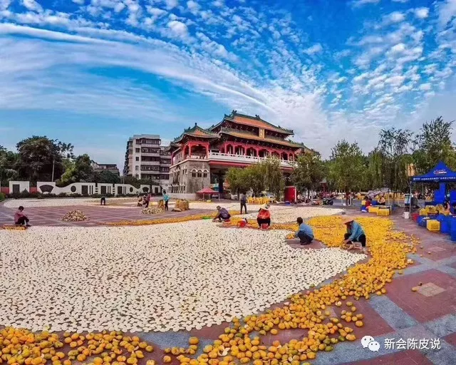 为清楚辨别真假新会陈皮,在六七家买了不同的陈皮,发现水太深! 为清楚辨别真假新会陈皮,在六七家买了不同的陈皮,发现水太深!