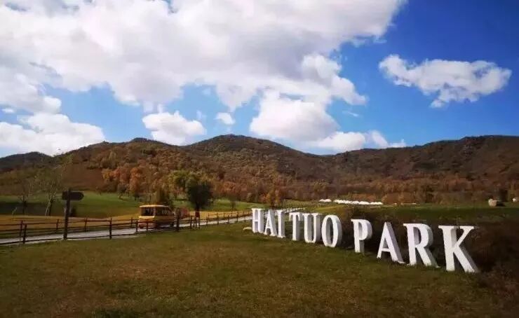 独家 | 比碧恒万还早 ，它如何玩转“社群营销”？