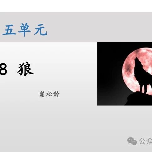 【青春语文·大伟专栏】马大伟：《狼》教学设计