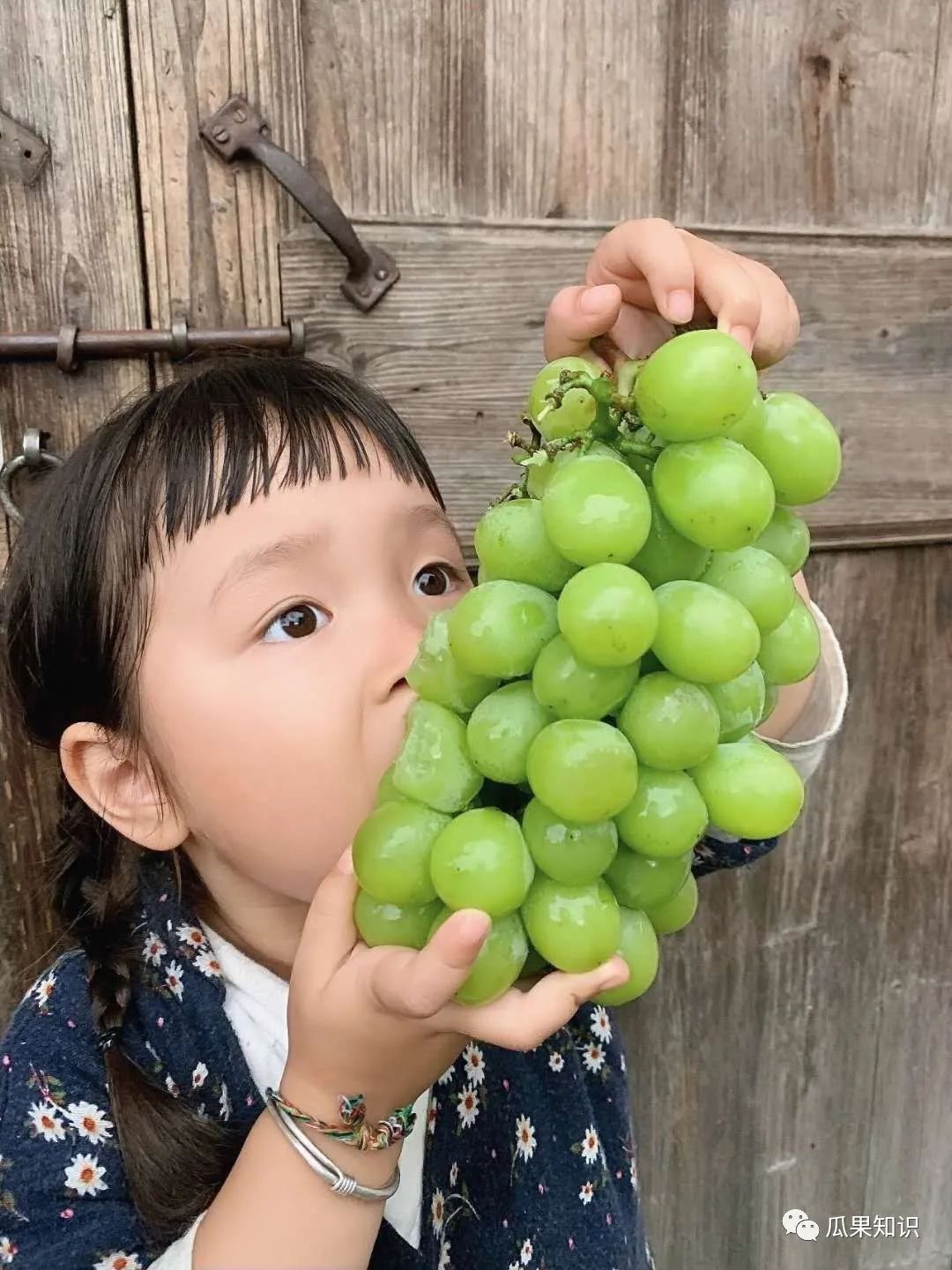 榆林学院王晴晴_晴王葡萄_王予嘉 张丽 韦晴晴 aliona 乌克兰