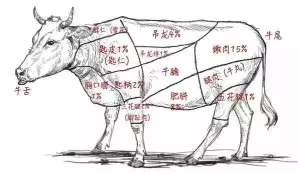 把 牛肉放入漏网中 每个部位的牛肉都有时间要求 不能过长时间的煮汤