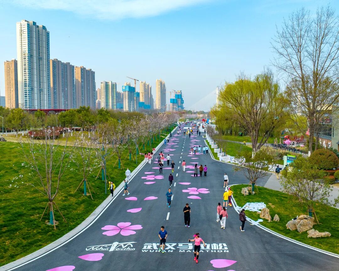 《最美樱花赛道》城市摄影队    吴国响.jpg