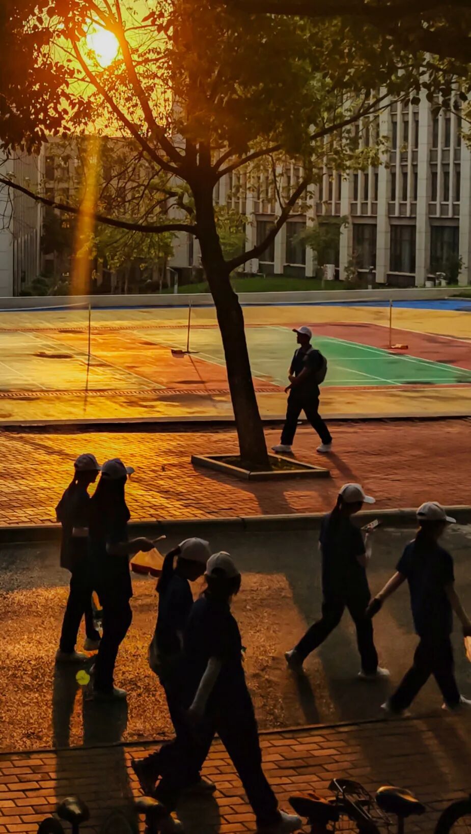 《球场夕照》城市摄影队大学生小分队  何红英 摄于湖科东区羽毛球场.jpg