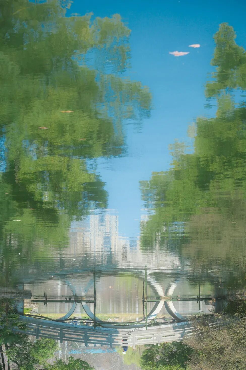 汤逊湖  (1).jpg