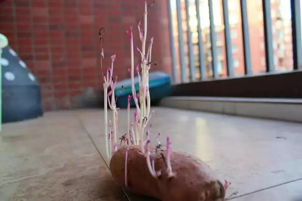 我是如何作死极品女友的！