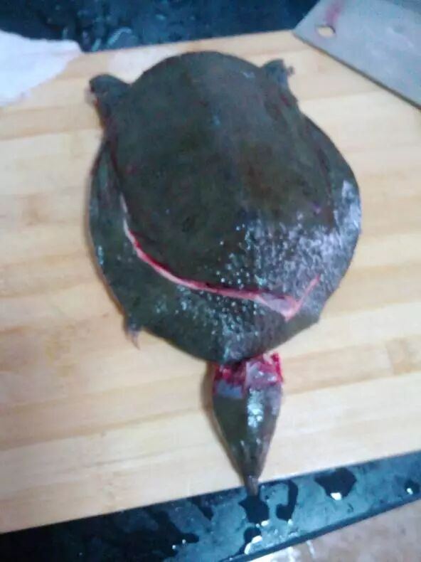 我是如何作死极品女友的！