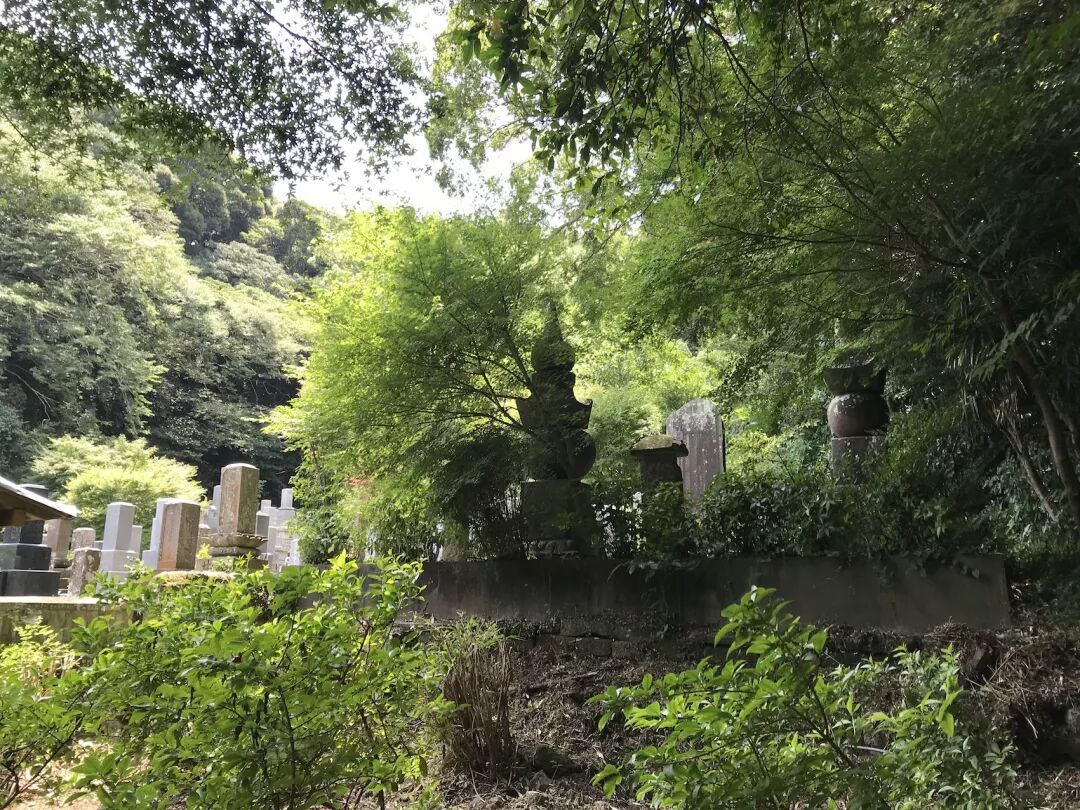 日本 伊东的惬意 下田的浪 伊豆半岛从不缺故事 伊豆半岛游记攻略 携程攻略