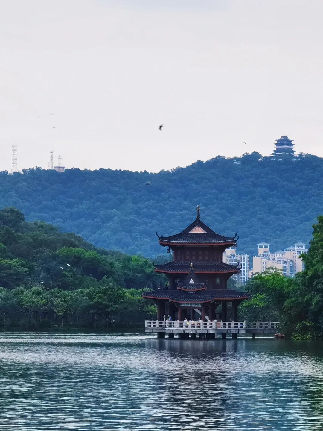 清明亲子游广州周边最适合带娃去的旅游地人少景美