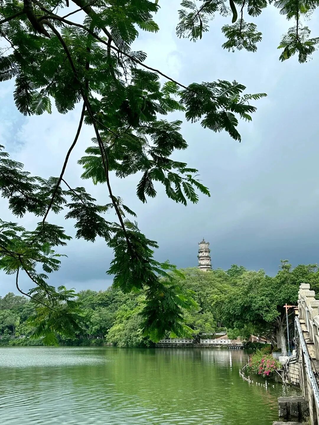 分为五湖六桥八景推荐路线:平湖门-迎仙桥-芳华洲-枇杷亭-九曲桥-东坡