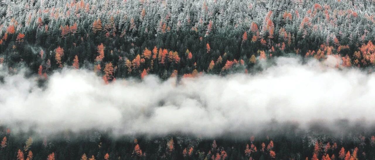 “绝对成长”是人一生必须要做的事