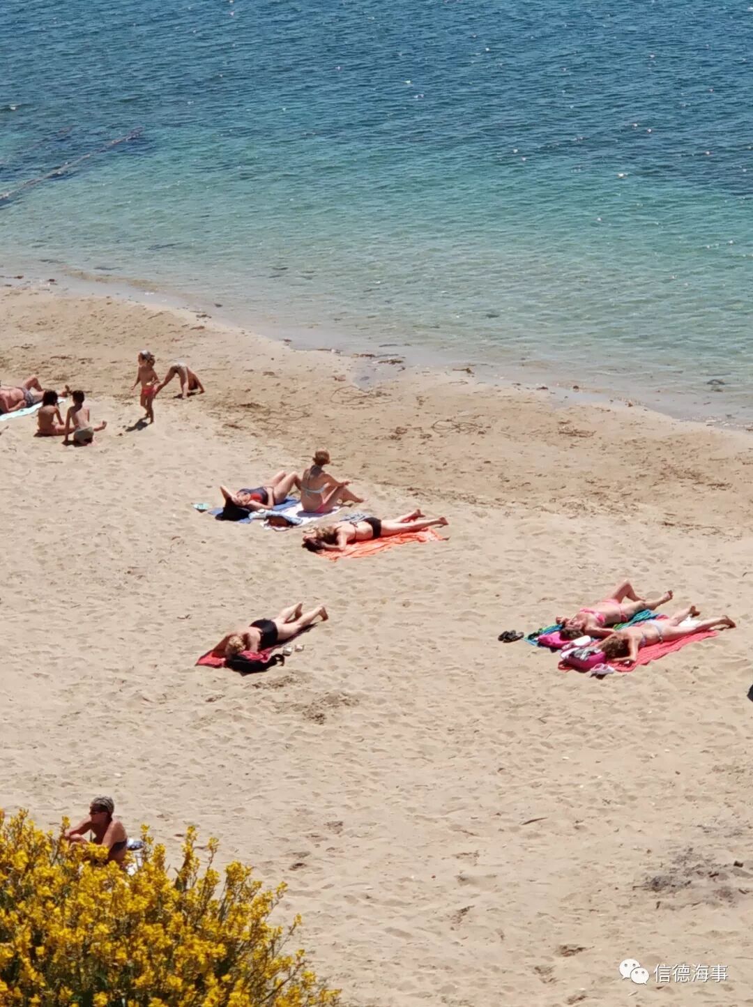 煙臺勝發(fā)船務(wù)