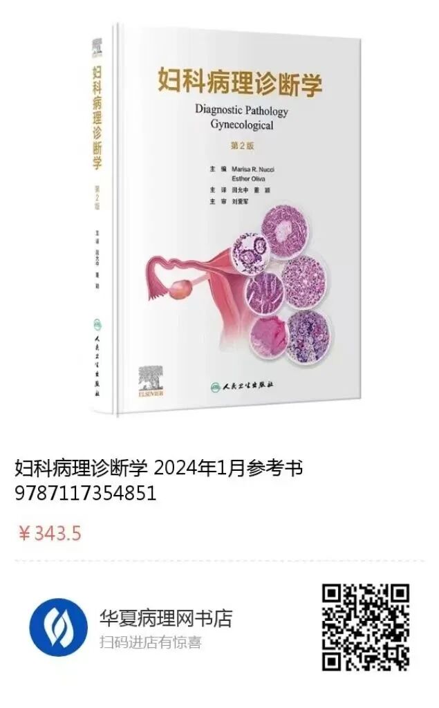怎么买病理图文遇“荐”好书｜｜一本妇科病理诊断必备案头书：《妇科病理诊断学》_https://www.jmylbn.com_新闻资讯_第2张