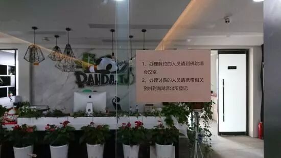 熊猫直播正式破产