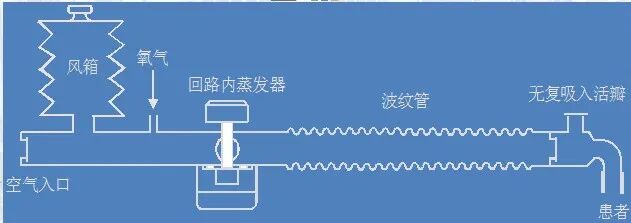 为什么用麻醉呼吸回路麻醉机丨麻醉通气系统_https://www.jmylbn.com_新闻资讯_第3张