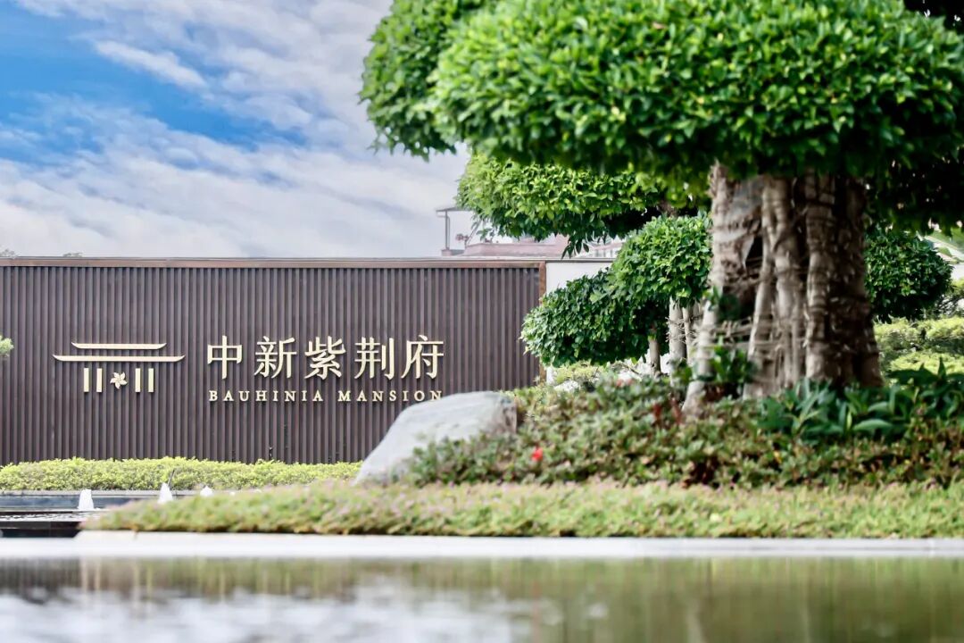 中新紫荆府首批1-6栋11月交付