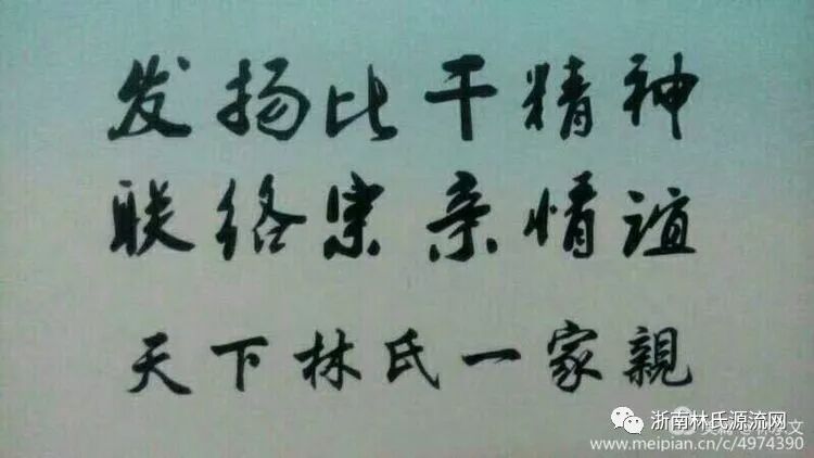 湖北林氏字辈大全和宗祠大全 图19