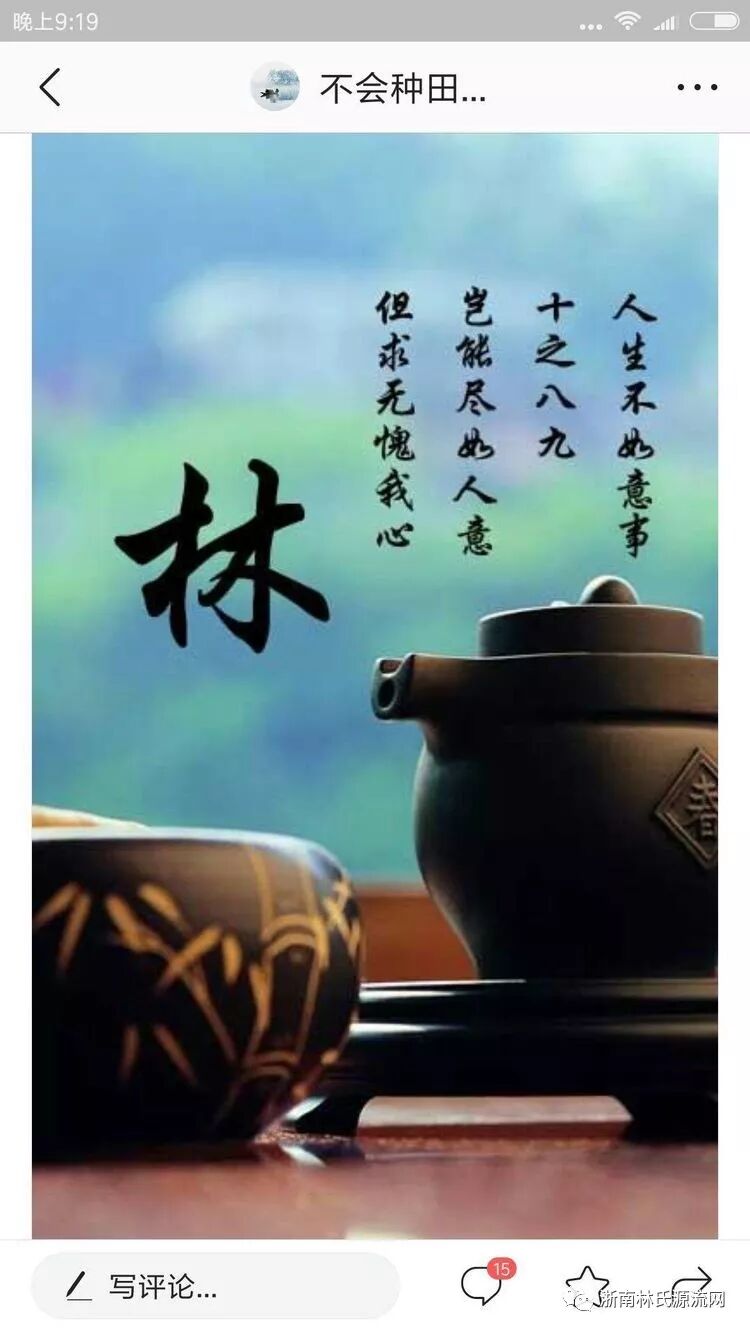 湖北林氏字辈大全和宗祠大全 图21