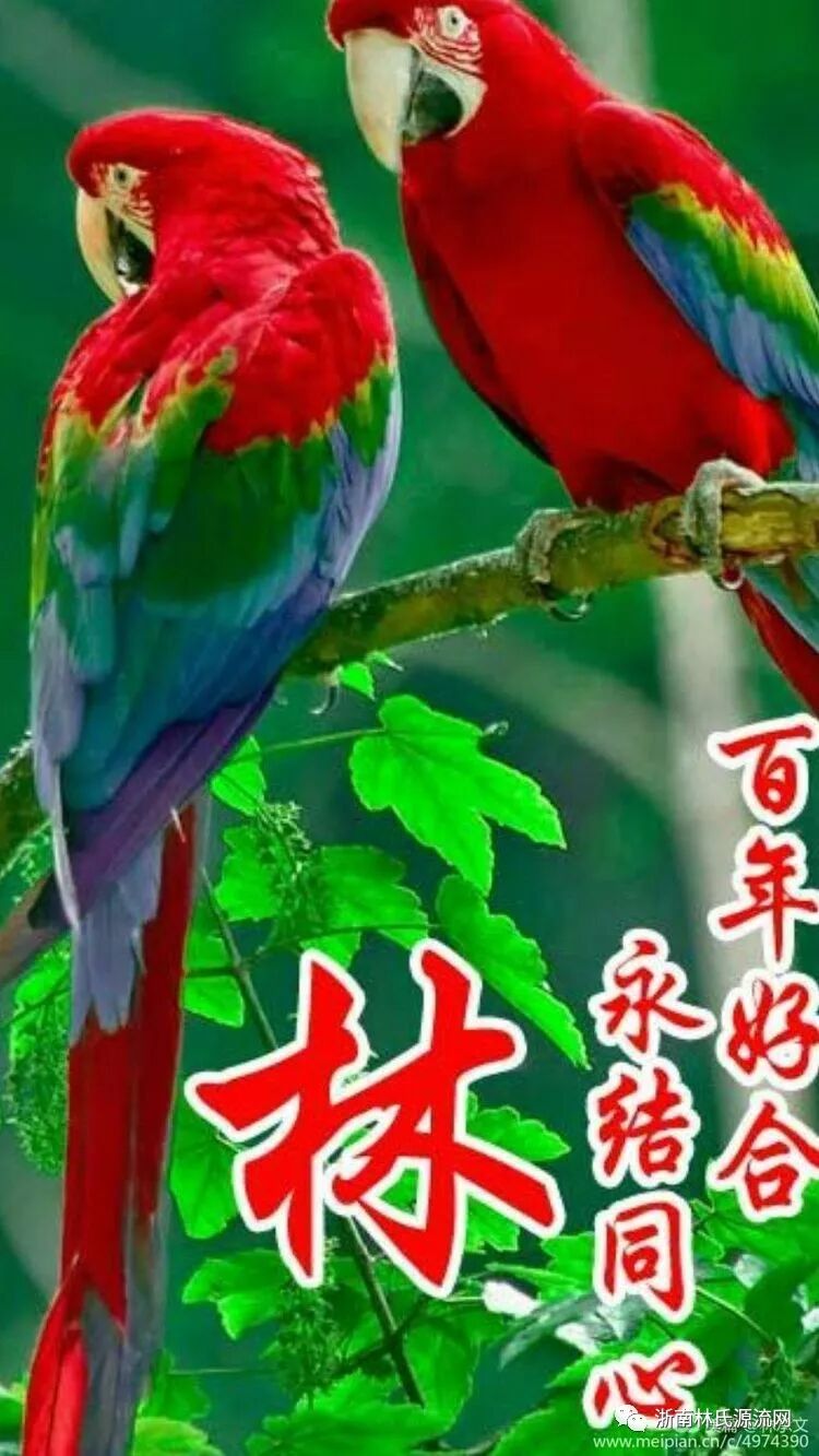 湖北林氏字辈大全和宗祠大全 图20