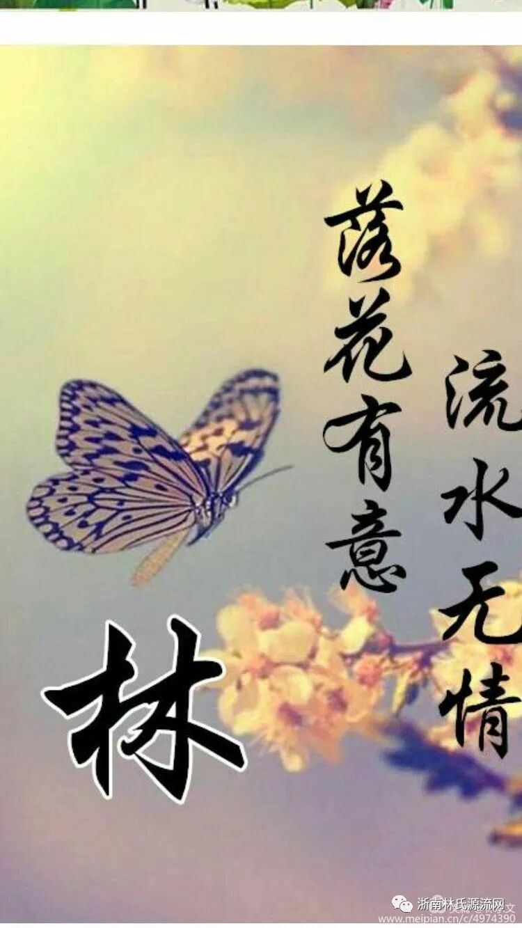 湖北林氏字辈大全和宗祠大全 图23