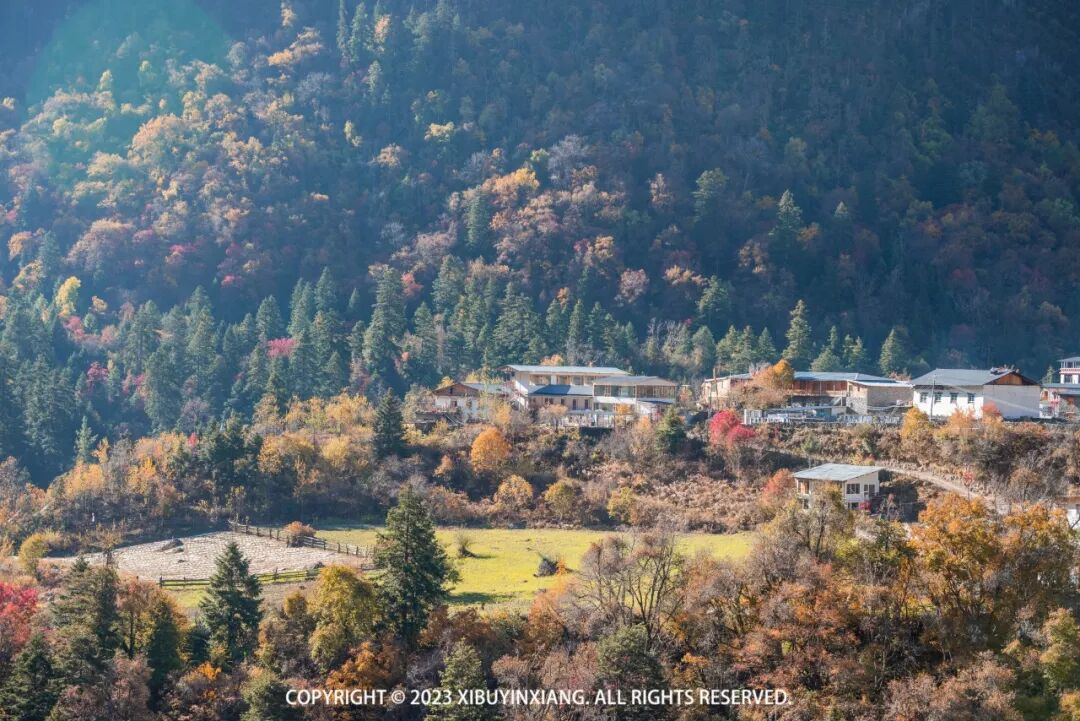 云南省康旅控股集团有限公司|康旅集团|康旅控股集团|云南省康旅抗缮
