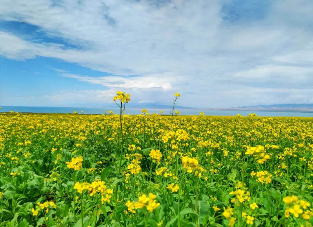 智慧旅行 行走40国旅行妙招下载_徒步旅行_中国徒步网徒步珠峰