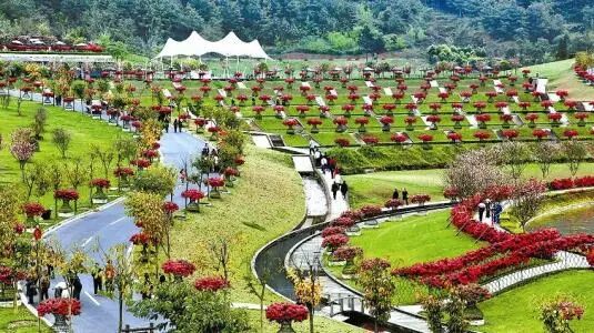 国家扶持农村创业项目_国家扶持农村办厂创业项目_国家支持的农村创业项目