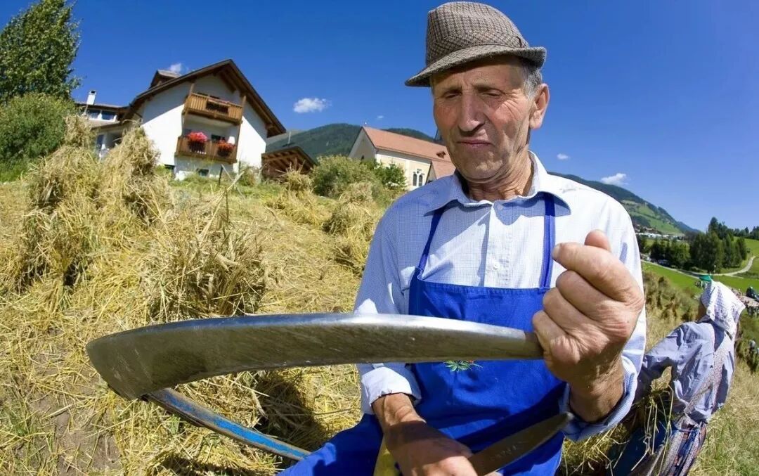 意大利农业凭什么雄霸世界