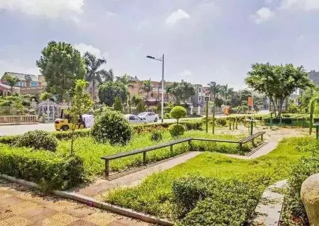 国家扶持农村创业项目_国家扶持农村办厂创业项目_国家支持的农村创业项目