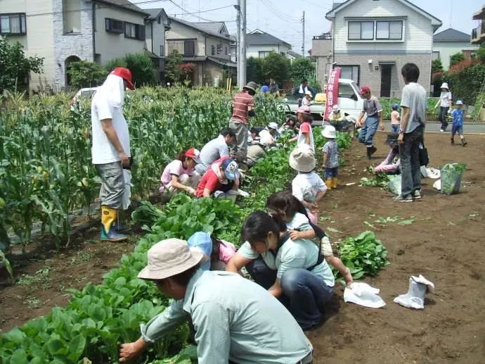 【台灣旅館選文】變態的日本農業：敬畏自然、超前思維、死磕單品 旅行 第7張