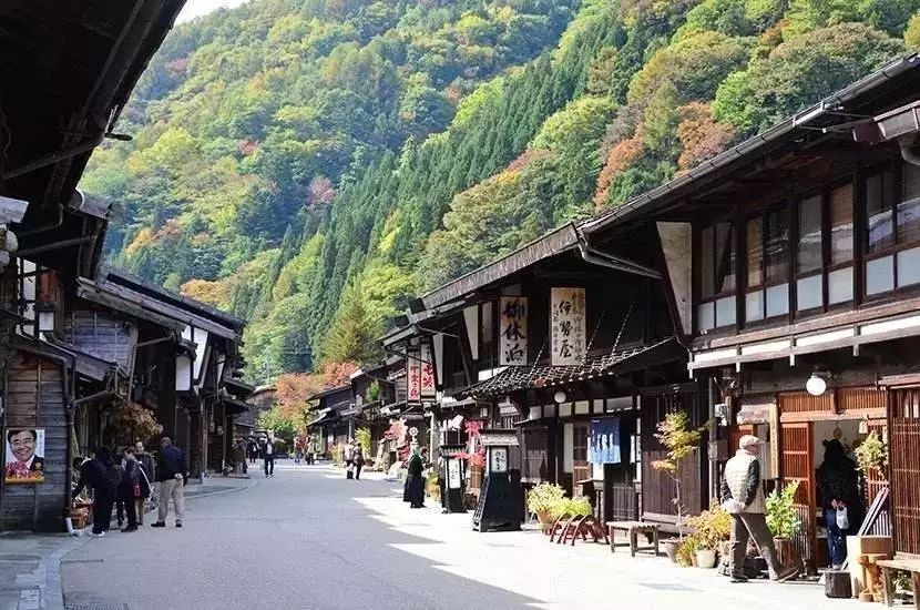 【台灣旅館選文】變態的日本農業：敬畏自然、超前思維、死磕單品 旅行 第8張