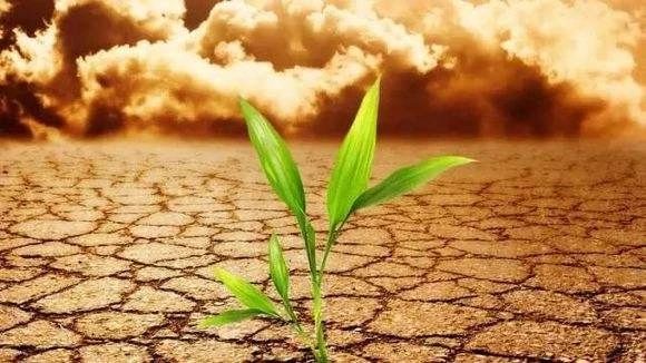 高科技农业即将引爆：世界强国都在搞，中国巨头纷纷布局