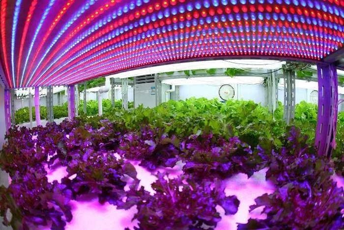 高科技农业即将引爆：世界强国都在搞，中国巨头纷纷布局