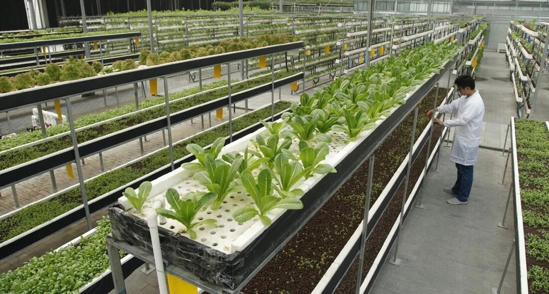 高科技农业即将引爆：世界强国都在搞，中国巨头纷纷布局