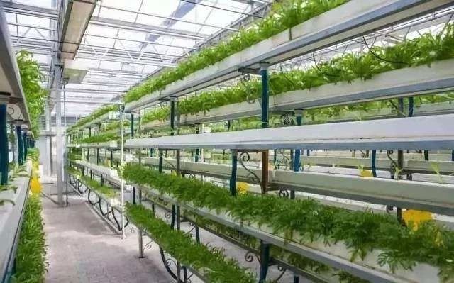 高科技农业即将引爆：世界强国都在搞，中国巨头纷纷布局