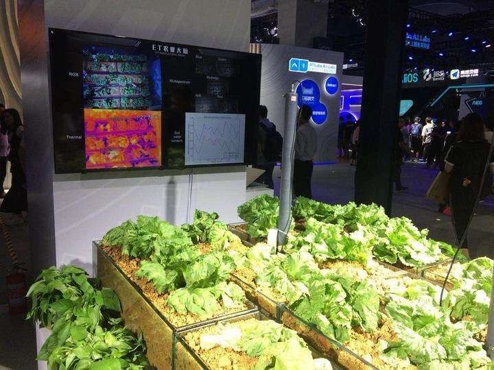 高科技农业即将引爆：世界强国都在搞，中国巨头纷纷布局
