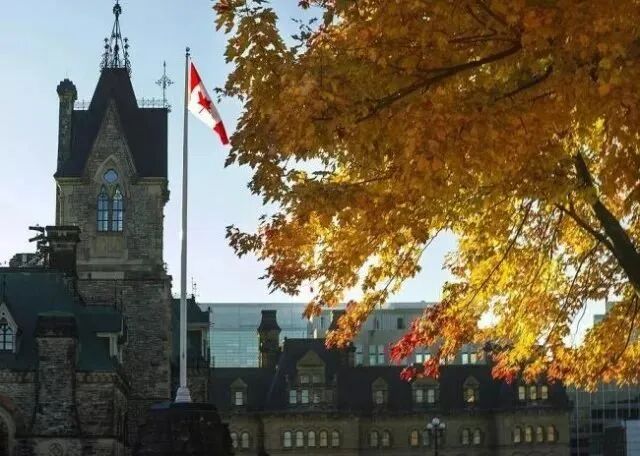 640 - 2025-05-22T170953.452.jpg