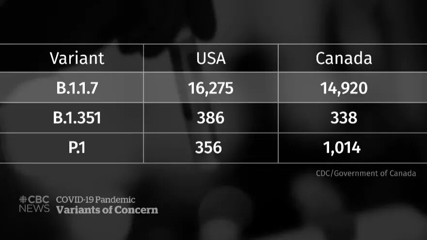 �����Ա��첡��ʧЧ 3�ֱ��첡���ڼ��ô�����