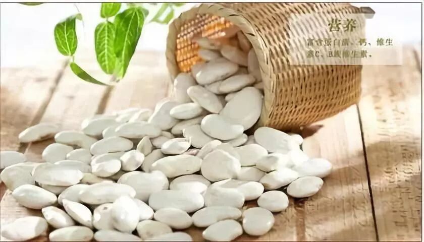 第四批植物提取物标准正式发布