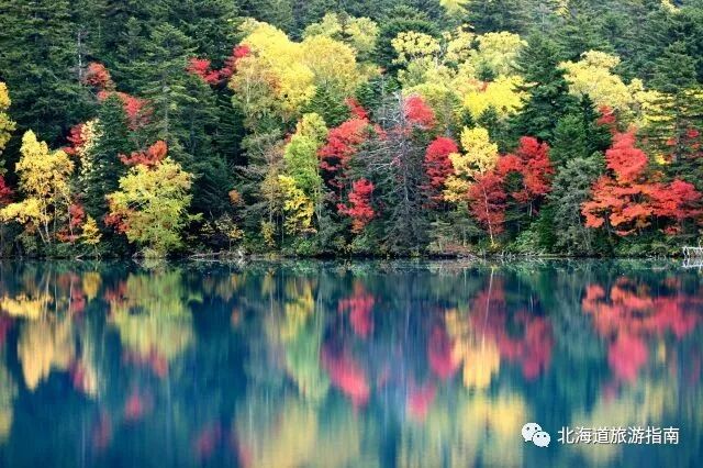 北海道18全境赏枫攻略 北海道旅游指南 微信公众号文章阅读 Wemp